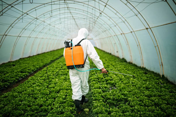 Best Best Pest Control Companies  in Lone Jack, MO