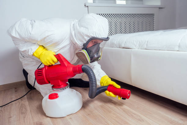 Best Pest Control for Restaurants  in Lone Jack, MO