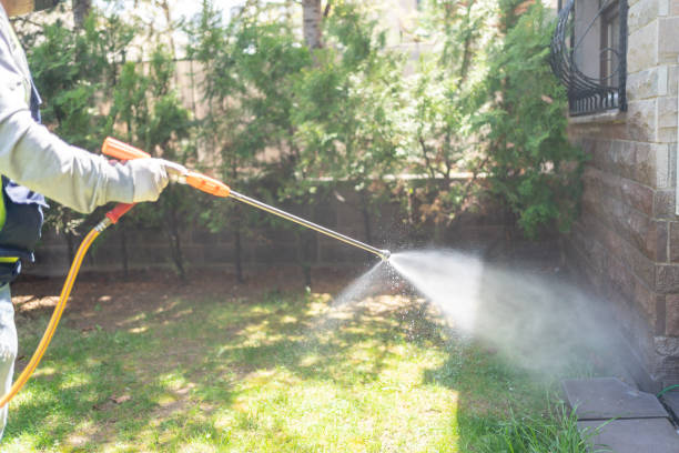 Best Local Pest Control Services  in Lone Jack, MO