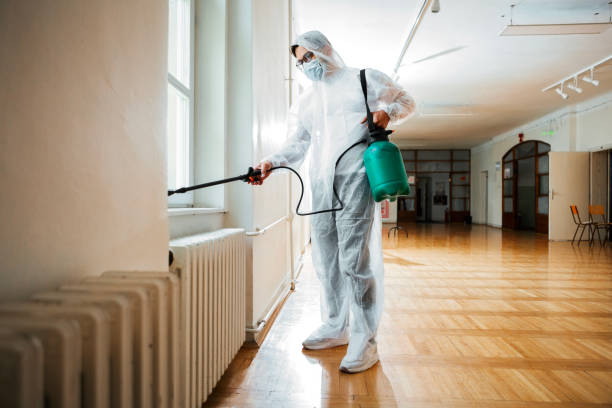 Best Mosquito Control Services  in Lone Jack, MO