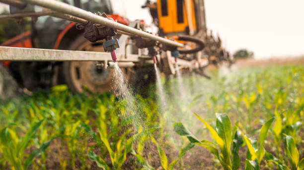 Best Best Pest Control Companies  in Lone Jack, MO