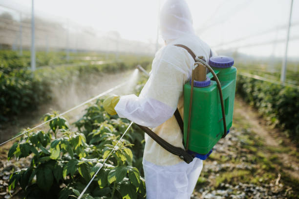 Best Mosquito Control Services  in Lone Jack, MO